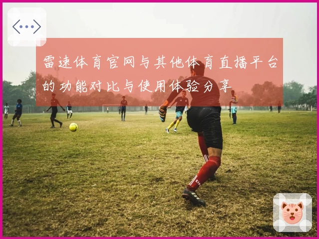 雷速体育官网与其他体育直播平台的功能对比与使用体验分享