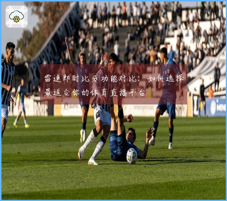 雷速即时比分功能对比：如何选择最适合你的体育直播平台