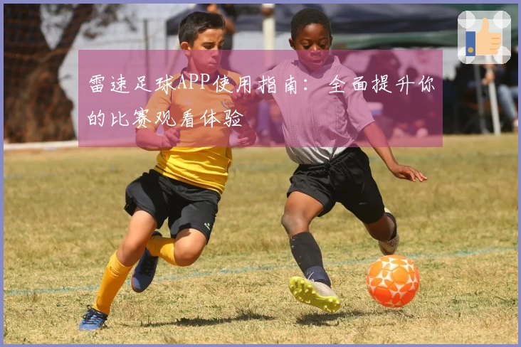 雷速足球APP使用指南：全面提升你的比赛观看体验