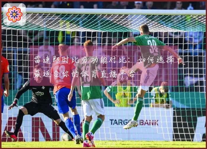 雷速即时比分功能对比：如何选择最适合你的体育直播平台